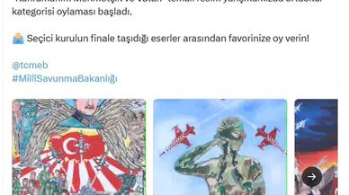 Mehmetçik temalı resim yarışmasında halk oylaması süreci başladı