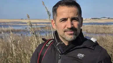 Hatay’da ışıklar nedeniyle yön şaşıran kaplumbağalar öldü