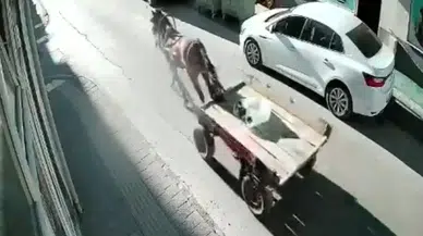 Uzunköprü'de başıboş at arabası park halindeki otomobile çarptı