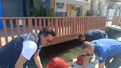 İzmir'de kaçak midye avına operasyon: 560 kilo midye denize döndü