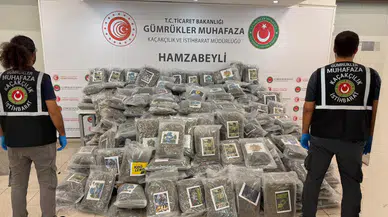 Narkotik köpek Atlas'ın tepkisi Hamzabeyli'deki TIR'ı ele verdi: 255 paket esrar gümrük ekiplerine takıldı
