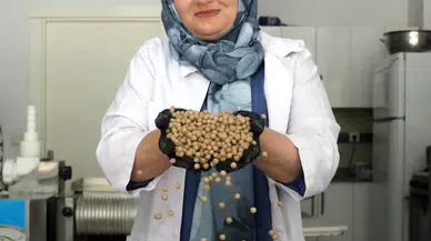 Gaziantep'te bir kadının azmi: Açtığı lokantada yöresel lezzetlerle 3 kızını üniversitede okutuyor