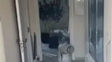 Bodrum'da uyuşturucu operasyonu: Evinde kenevir yetiştirmiş
