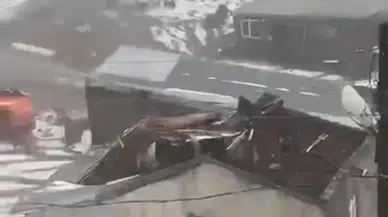 Çıldır'da dolu ve fırtına dehşeti: Öncül köyünde çatılar uçtu, tarlalar vuruldu