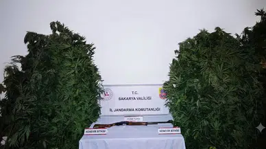 Sakarya'da düzenlenen uyuşturucu operasyonunda üç kişi tutuklandı