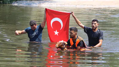 Menderes'in suları 853. kez aşk hikayesine sahne oldu: 63 çoban koyunlarıyla yarıştı