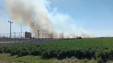 Sınır hattında korkutan yangın: Mayınlı bölgeye müdahale zorluğu