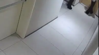 Beylikdüzü'ndeki büyük vurgun kısa sürdü: 149 suç kaydı olan şüpheli yakayı ele verdi