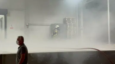 İznik'te gece yarısı korkutan yangın: Soğuk hava deposu alevlere teslim oldu