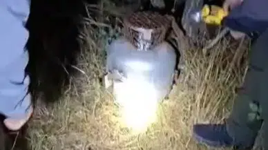 Kaçak avcıların mutfak tüpüyle kurduğu düzenek şaşkına çevirdi