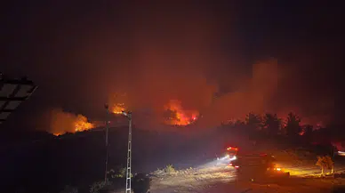 Adana'da orman yangını paniği: Yerleşim yerleri tahliye edildi