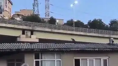 Sosyal medyada canlı yayın açıp asılsız ihbar yağdırdı: Faturası ağır oldu