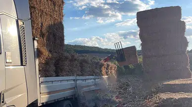 Tarlada feci kaza: Yarım tonluk saman balyaları altında can verdi