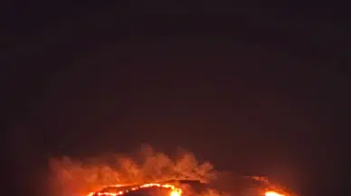Bodrum'da gece saatlerinde korkutan yangın: Ekipler seferber oldu