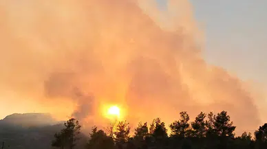 Antalya'da ormanlık alanda alevlerle zorlu mücadele