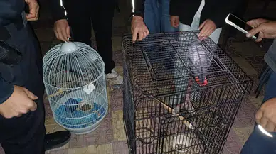 Sosyal medyadan papağan satmaya kalktı: Otel baskınında suçüstü yakalandı