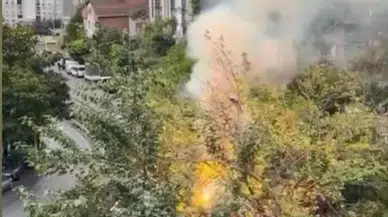 Seyrantepe'de korku dolu anlar: Elektrik direği alevlere teslim oldu