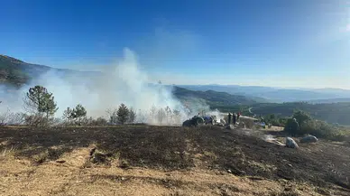 Bursa'da korkutan orman yangını: Alevler tarım arazisinden sıçradı