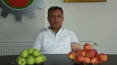 Niğde'nin bereketli bahçelerinde hasat heyecanı: Dünya sofralarına 12 farklı rota