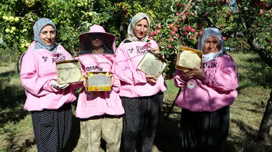 Van'ın dağlarında pembe maskeli hasat: Kadın arıcıların başarısı katlanıyor