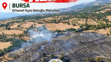 Bursa'da orman yangını paniği: Ekiplerin yoğun çabası sonuç verdi