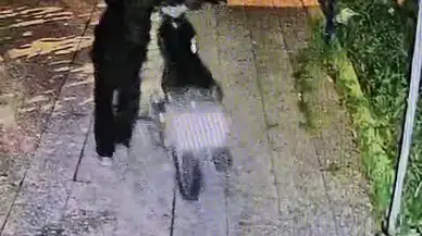 Reyhanlı'da gece yarısı operasyonu: Avluya giren maskeli hırsızlar kamerada