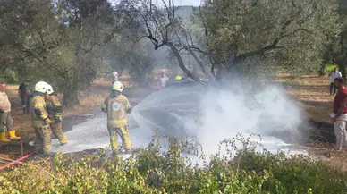 Bursa'da feci kaza: Zeytinliğe uçan araç alev topuna döndü