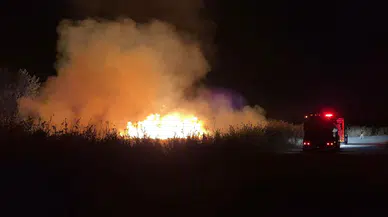 İznik'te gece yarısı korkutan yangın: Göçebe Oyun Alanı alevlere teslim oldu