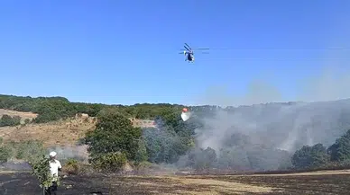 İznik'te tarım arazisinde başlayan yangın ormana sıçradı: Ekipler seferber oldu