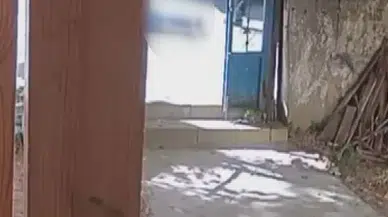 Maltepe'deki dehşet anları kamerada: Kiracı dehşet saçtı