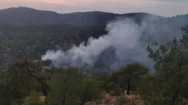 İslahiye'de ormanlık alanda korkutan yangın