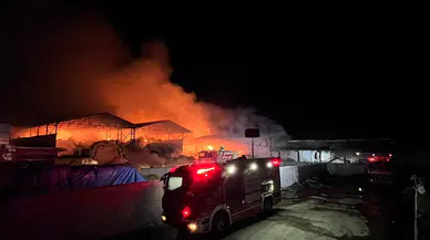 Bafra'da çiftlik yangını: Saman deposu alevlere teslim oldu