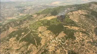 Çine'deki orman yangınına havadan ve karadan hızlı müdahale