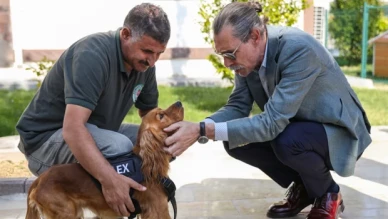 Etimesgut Belediyesince 5 sahipsiz köpek eğitilerek bekçi köpeği yapıldı