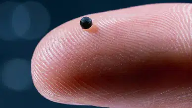 Damarlarda yüzerek ilaç taşıyan mikro robotlar test edildi