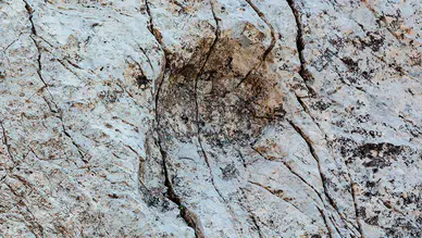 İtalya'da bir dağda binlerce dinozor ayak izi keşfedildi