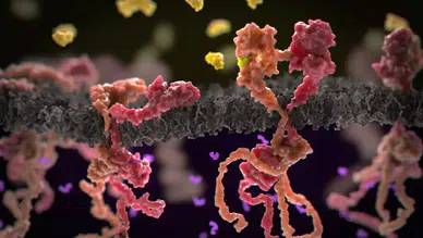 Gen düzenleme tekniğiyle ‘tedavi edilemez’ kan kanserinde umut veren sonuçlar