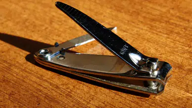 Tırnak makası icat edilmeden önce insanlar tırnaklarını nasıl kesiyordu?