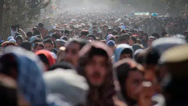Dünyada "Yalnız erkek" krizi: Üreme dengesi erkeklerin aleyhine dönüyor