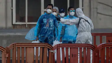 DSÖ açıkladı: Hantavirüs salgını sona ermek üzere