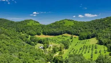 2B arazilerinde tapu umudu yeniden doğdu: Başvuru kaçıranlara ek süre geliyor