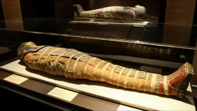 Antik Mısır'ın gizemi kokusunda saklı: Mumyaların sırrı "koklayarak" çözülüyor