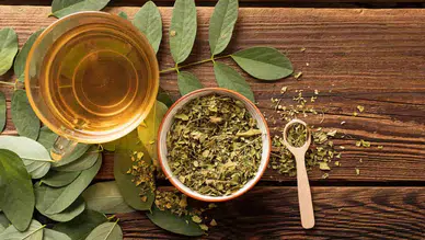 Yeşil çayın faydaları nelerdir? Doğru tüketimle sağlığınızı koruyun