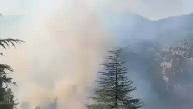 Feke'de orman yangını alarmı: İki ayrı noktada alevlerle mücadele