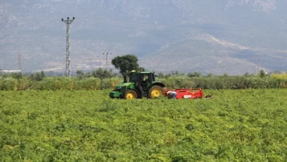 Adana’da patates ve soğan hasadı devam ediyor