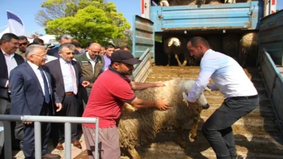 Kayseri Büyükşehir Belediyesi 3 bin 200 koyun dağıttı