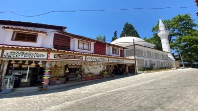 Orman yangınından zarar gören köyler Doğaya Saygı Projesi’yle kalkınacak