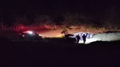 Malatya’da park halindeki otomobil şarampole devrildi