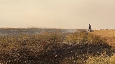 Gaziantep’te 15 dönüm tarım arazisi yangında zarar gördü