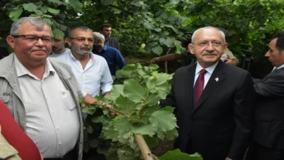 Kılıçdaroğlu, Ordu’da fındık bahçesinde üreticilerle buluştu: